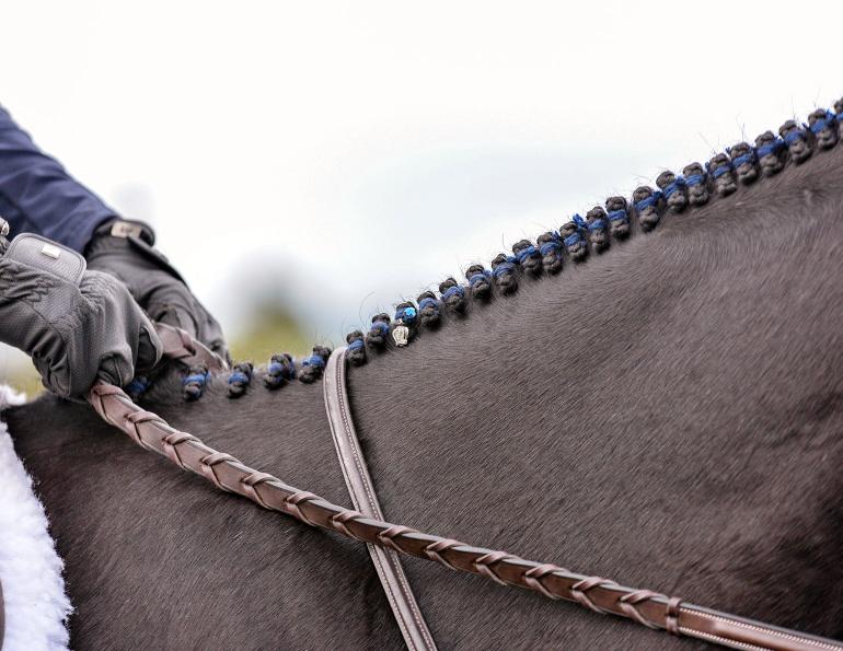 how to braid horse for hunter, how to braid horse for jumper, how to braid horse for dressage