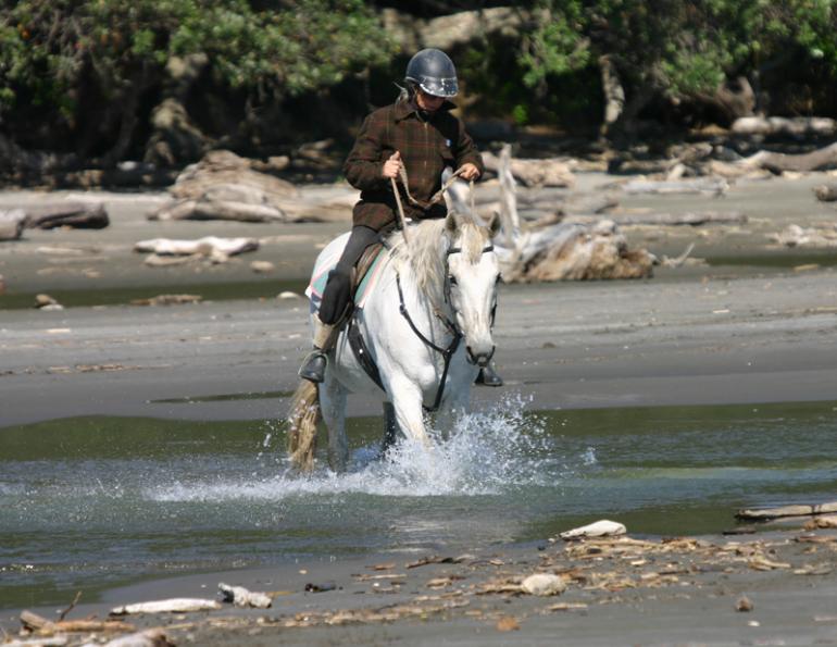 Stan Walchuk, Jr, safe trail riding with horses, horse riding safety, trail riding tips, desensitize horses
