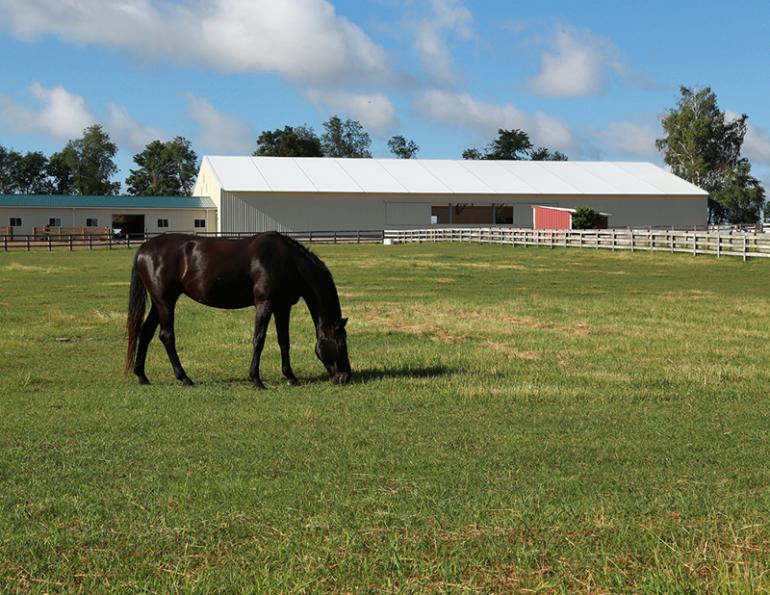 we cover structures, riding arenas in canada, fabric riding arenas, building an equestrian centre, best types of riding arenas