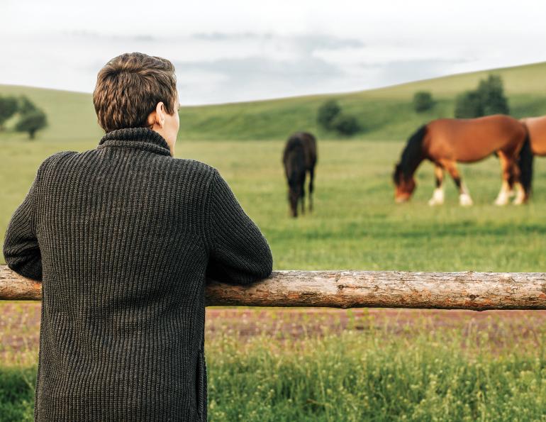 earning extra income horses, making money horses, tania millen, leasing a horse, composting manure