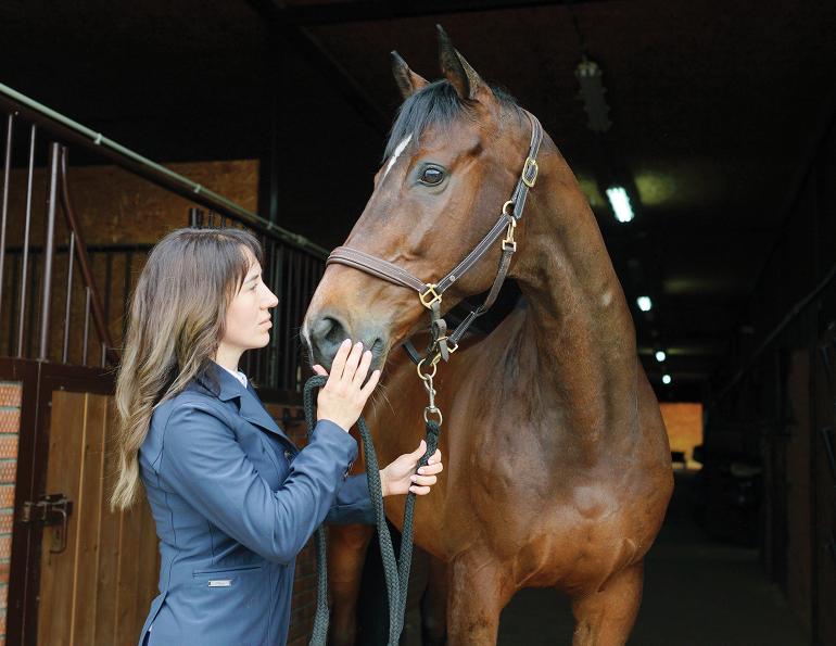 how to enjoy horse riding, setting horse riding goals, equestrian psychology, horse rider psychology, annika mcgivern, succeeding horse rider