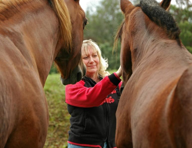 hrose field of vision, equine guelph, horse behaviour, horse psychology, how well does my horse know me? the horse eye