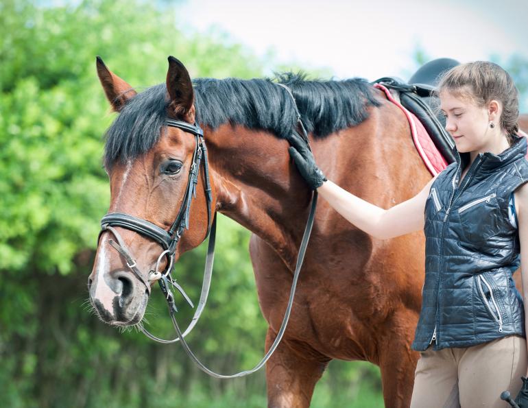 how to buy a horse, horse pre-purchase exam, equine pre-purchase exam, shopping for a horse, horse shopping, sellng a horse