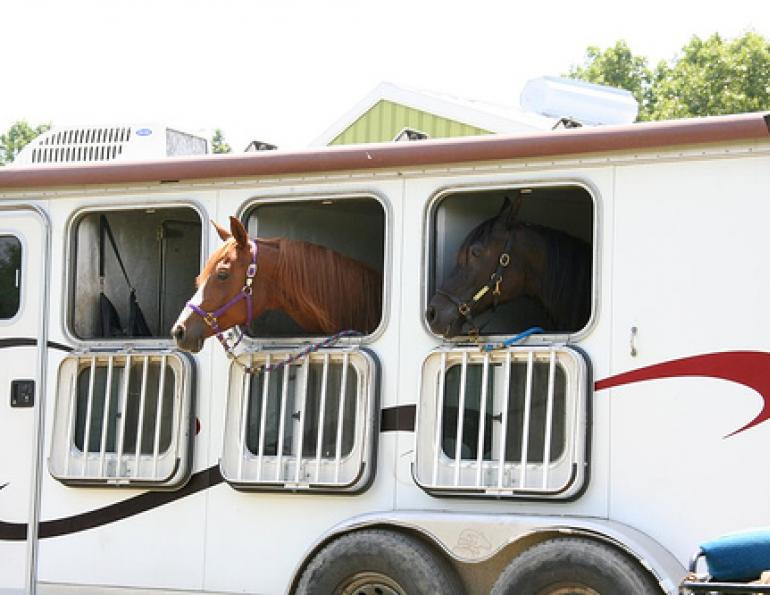 Kevan Garecki, Horse trailer choices, horse trailering, horse hauling, straight-haul designs, Angle-haul vs Straight-haul, gooseneck trailer, horse trailer braking system, bumper-pull trailer, Horse Trailer Options
