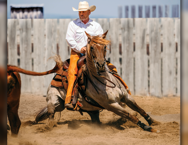 canter pirhouettes, cow horse stops, reining spin, footfalls reining, clix photography, tania millen, shawna sapergia, vern sapergia, cow horse turnaround, how to turn reining horse around, canter turns