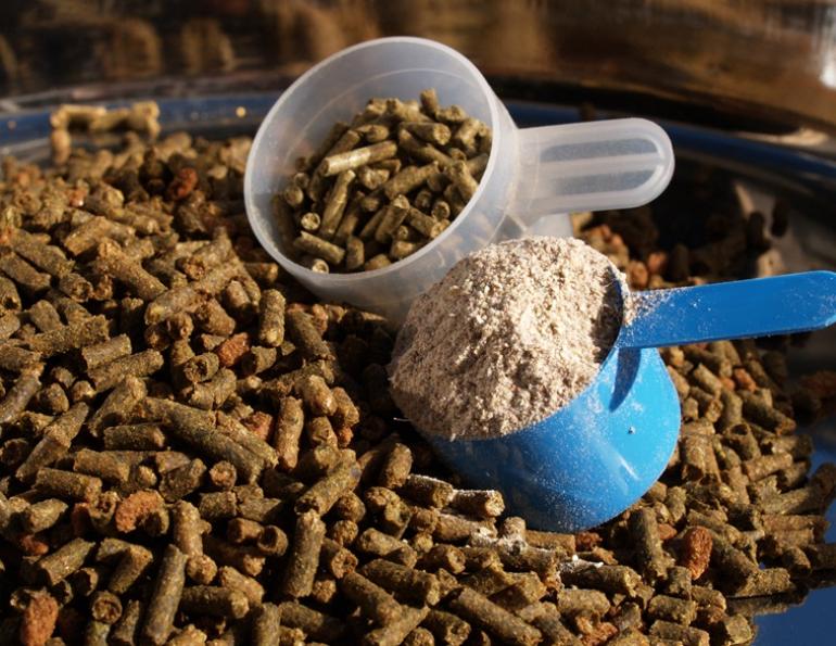 Choosing horse Feed Supplements, Kentucky Equine Research, Dr. Peter Huntington, equine Protein deficiencies, equine supplements, horse minerals, equine electrolytes