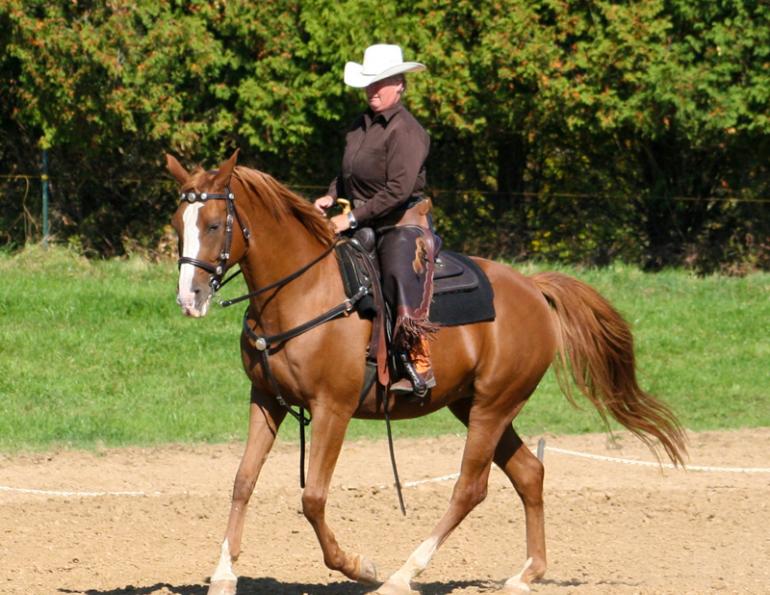 Western Dressage, Elaine Ward, Margaret Evans, Western Style Dressage Association of Canada, WSDAC, Jec A. Ballou, Elaine Ward, Trish Hyatt, dressage