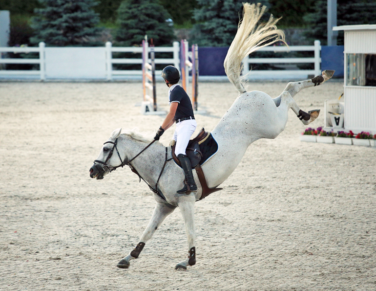 equine science update, is my horse in pain, measuring horse's pain, ridden horse pain ethogram, ridden horse in pain