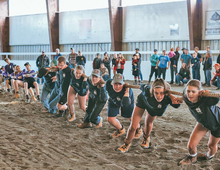 what is 4-h? how do I sign my child up for 4-h? 4-h riding lessons, horses in 4-h, shelagh niblock, what is a 4h project?