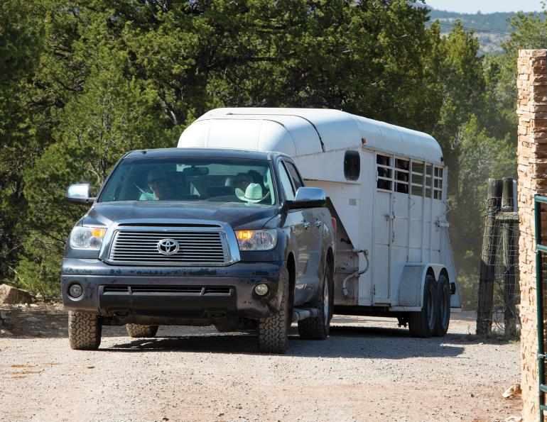 horse moving to new barn, horse relocation, horse trailer transport, horse settling into new home, horse herd introduction, horses in pasture, horse boarding facility, equine behaviour, horse welfare, horse turnout, horse owner Canada, horse management, horse adjustment to new environment, herd dynamics, Canadian horse industry