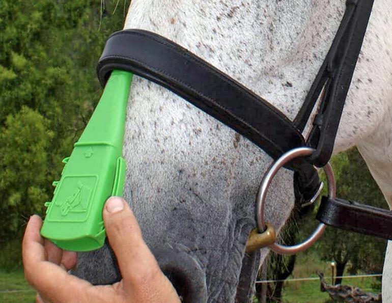 horse nosebands, taper gauge nosebands, tightness equine noseband, lindsay grice, are nosebands on horses allowed?