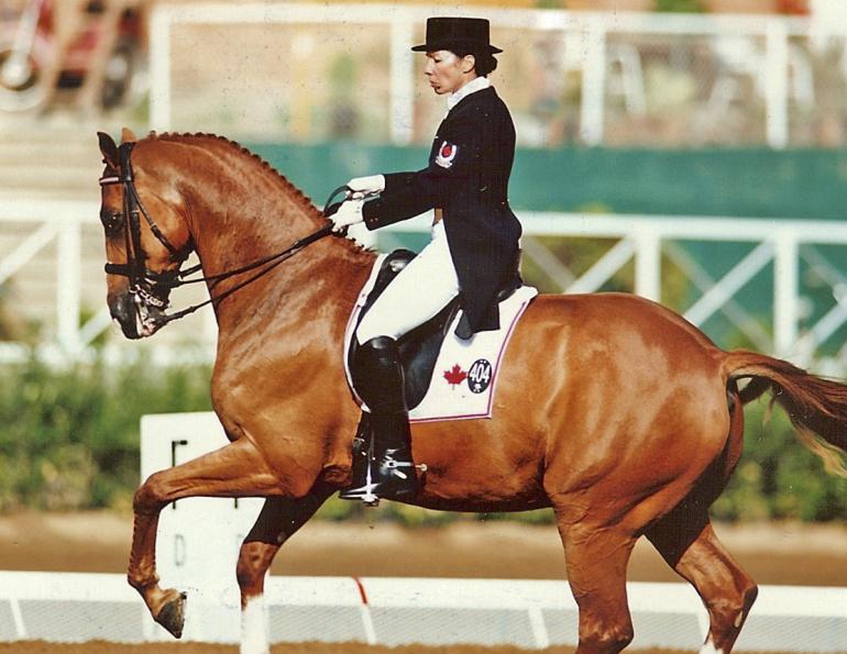 Canada’s dressage team Christilot Boylen retirement from international team dressage christilot boylen the Howdy Doody Show