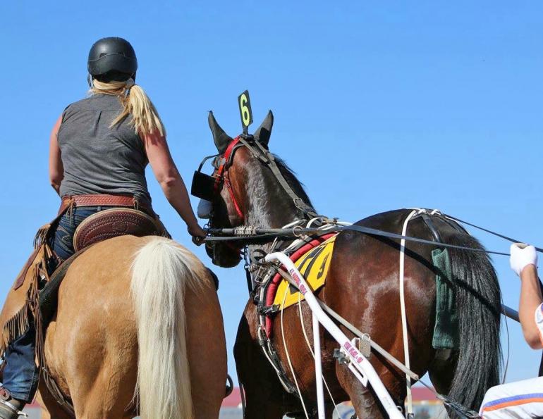 Racetrack Outrider Horses, Rachel Alexandra, Janice Lea Rocky Mountain House, Racetrack Outrider equine, Century Downs Racetrack, horse jobs Racetrack Outrider Horses