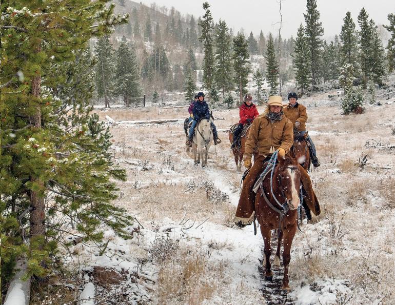 weight horse, equine obesity joint health, exercises for horse joint pain, equine joint injections, corticosteroid injections horses, equine joint supplements 