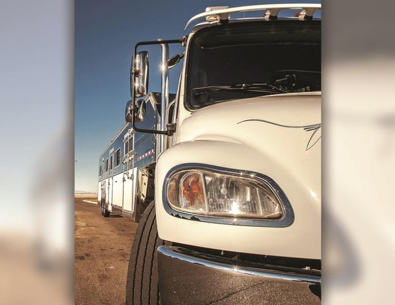 transporting horses, how to ship my horse, moving my horse, easing stress horse transport, kevan garecki, preparing my horse for emergency