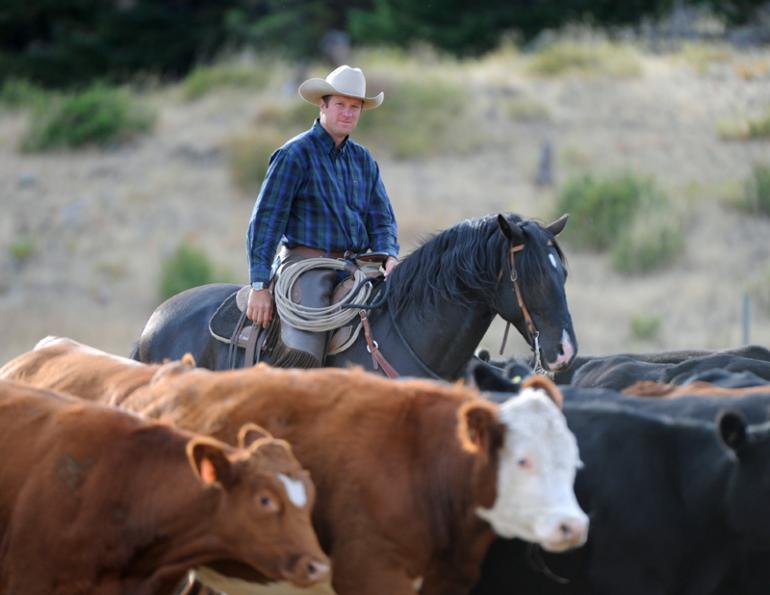 Jonathan Field, Jonathan Field Purpose Camp, Build Confidence in Your Horse, Cone on a Barrel horse exercise, horse jump over log, improve technical horse skills, horse obstacles, increase confidence in horse