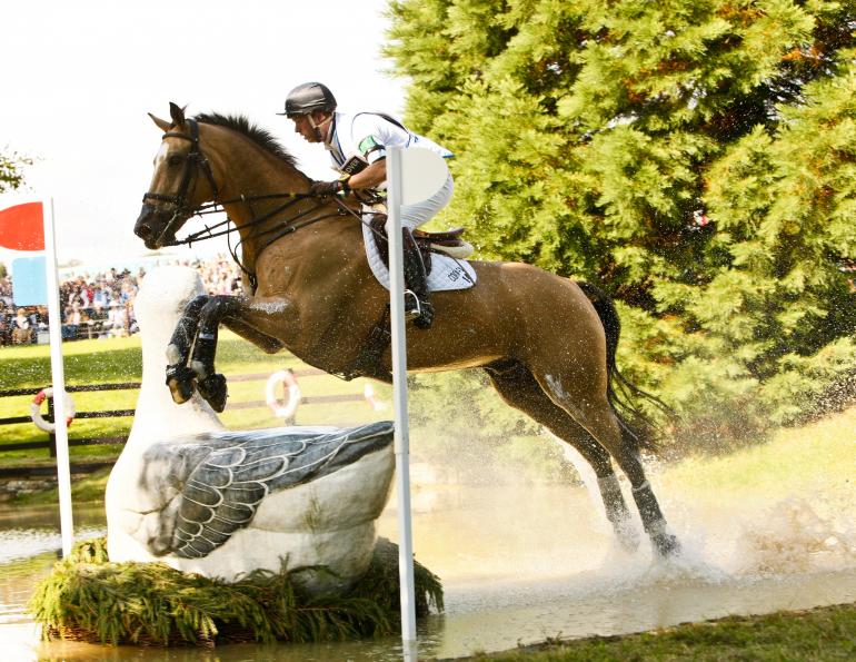 horse cool down, Sponging Endurance Horse, horse walk cool down, horse drinking water for cool down, hose down endurance horse
