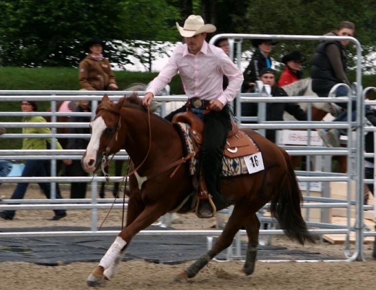 Developing the Concept of Collection in Your Horse's Brain and Body
