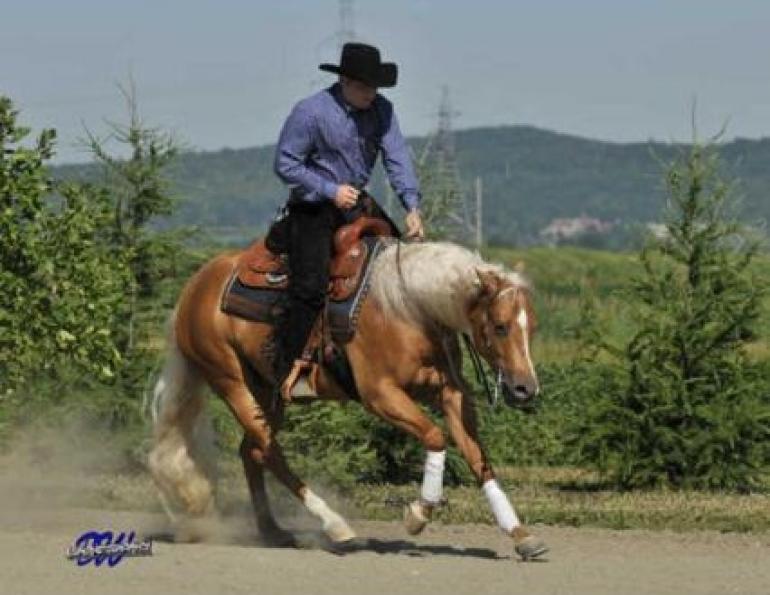Matthew Hudson explains collection for the reining horse