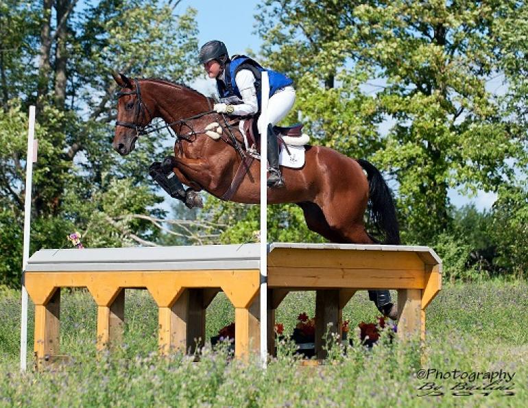ottb, off the track thoroughbred, jessica phoenix, jessica phoenix off the track, exploring off the track, exponential off the track, world equestrian games, equine guelph, barbara sheridan
