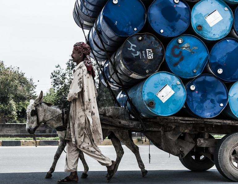 brooke usa, brooke for animals, donkeys third world, horses third world, equine welfare standards, world organization for animal health horse standards, oie