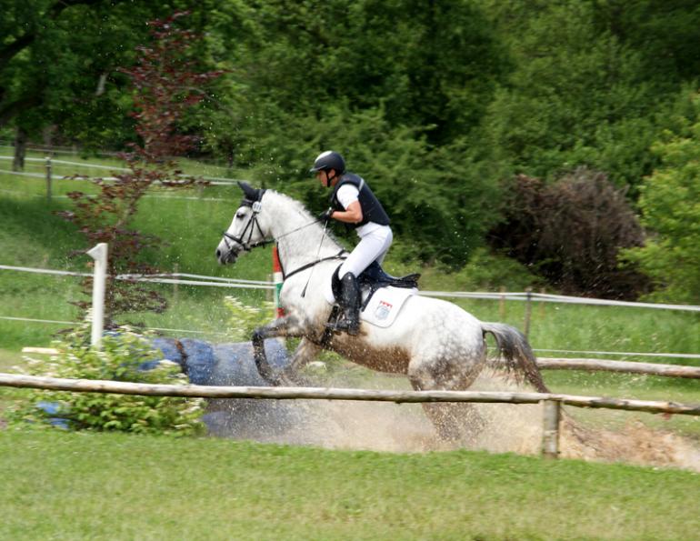 horse safety, equine safety, horse helmet, equestrian helmet, horse rider safety, horse helmet expiry, horse helmet expiration, horse helmet fit, riding helmet safety, Equine Guelph, horse helmet fitting tips, purchasing equestrian helmet