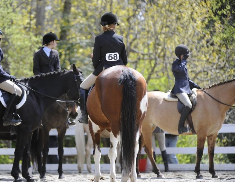 equine vaccination risk, horse vaccinations tetanus wee eee west nile virus horse, potomac horse fever, equine influenza