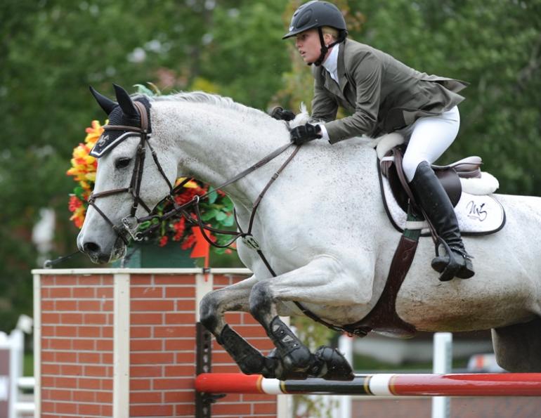 nutritional needs show horses, kentucky equine research, performance horse nutrition