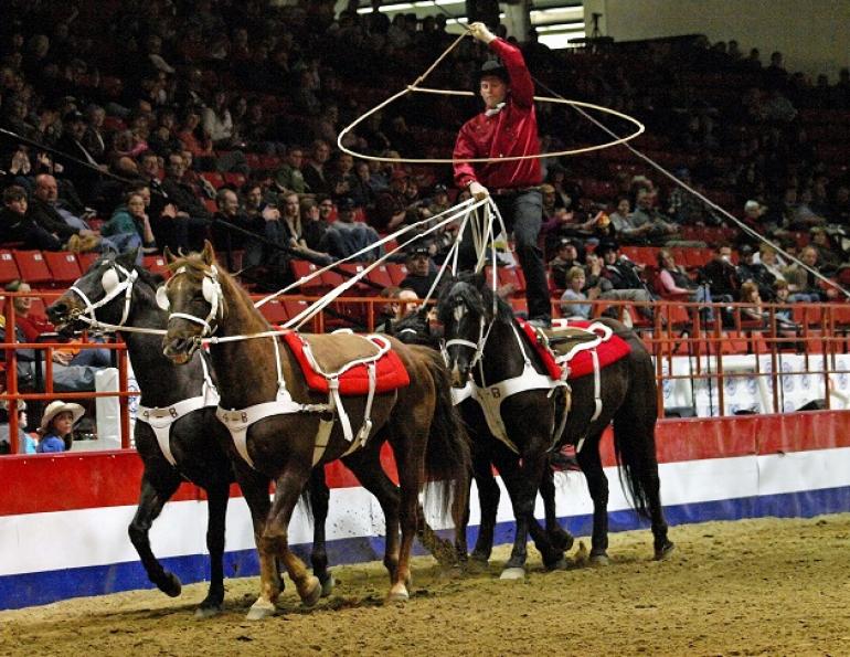 Bishop family business, Wild West performer Bishops, Tom Bishop Wild West Show, Thomas W. Bishop, Buffalo Bill's Wild West, Sally Bishop, 4B Productions