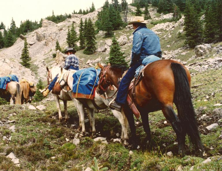 Stan Walchuk Jr, horse trail riding, trail riding guide Stan Walchuk Jr, horse trail riding, trail riding guide