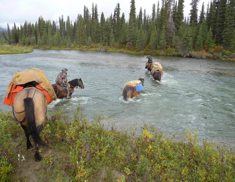 Stan Walchuk Jr, Feeding horses on Trail, trail riding, alfalfa-grass cubes
