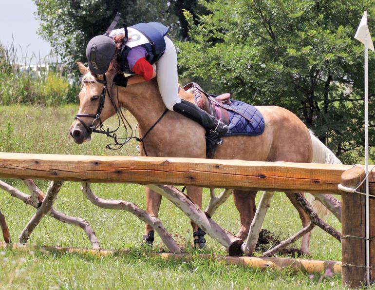 injuries equestrian, dangers of riding horses, equestrian-related trauma, bmj journals, trauma surgery and acute care open