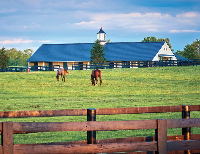 running a horse barn, owning a horse farm, boarding horses, how to board horses, renting riding ring