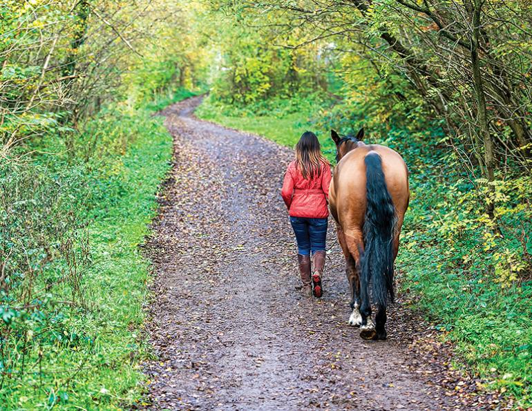 improving connection with your horse, fun activities with horse, alexa linton, fun with horse