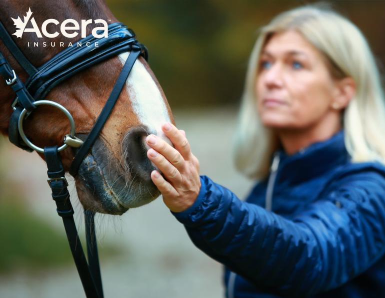 social license to operate horse industry, acera insurance, ethics equine industry, horse industry ethics, is it okay to ride horses? insurance for horses