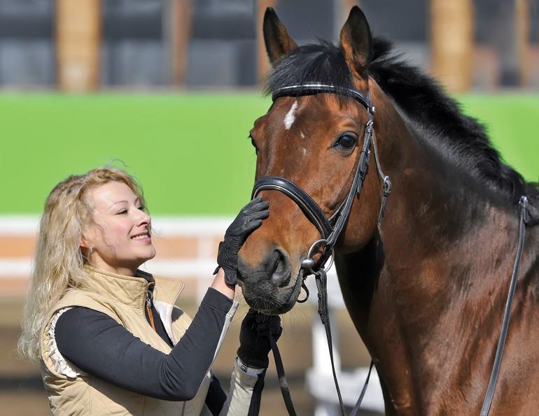 boarding schools for horses, choosing horse trainer, how to train horse, alexa linton, horse psychology, therapy horses