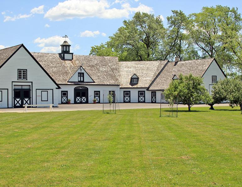 rat horse barn mice, first aid kit stable, tack room horse property, manure management horses