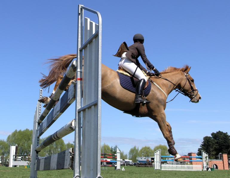 Equestrian Canada, Equestrian Canada controversy, Equine Canada, horse industry, canadian horse industry, Al Patterson, Equestrian Canada Eva Havaris, executive director Horse Council BC Lisa Laycock, Lantz McLaren, Margaret Evans