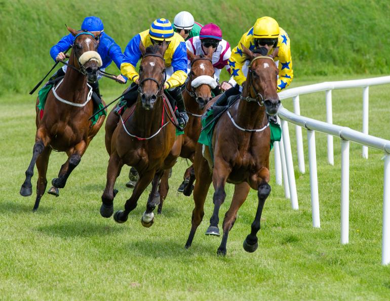 atrial fibrillation thoroughbred racehorses, af thoroughbreds, ailments racehorses, health issues racehorses, heart problems thoroughbreds