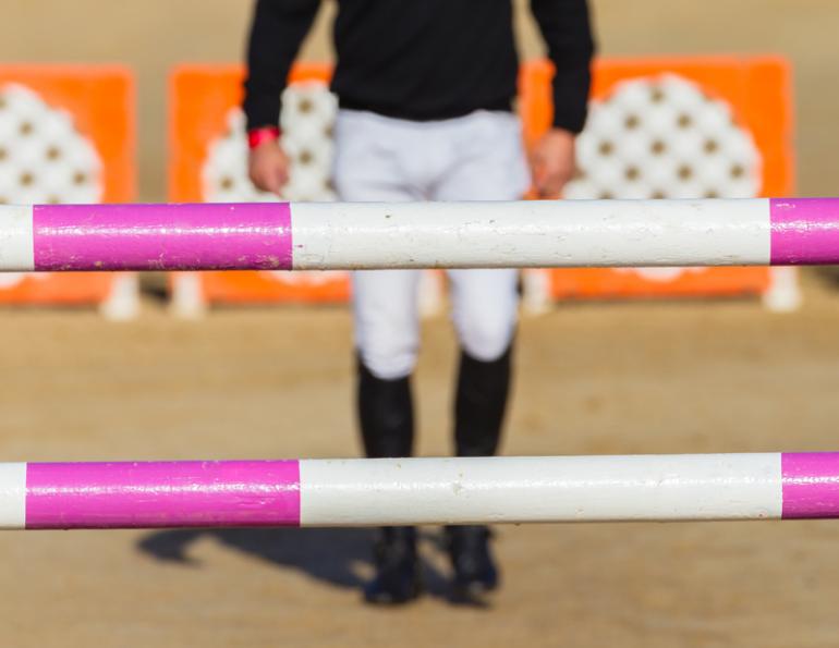 walking horse jump course, learning your horse jump course, studying equine jump course