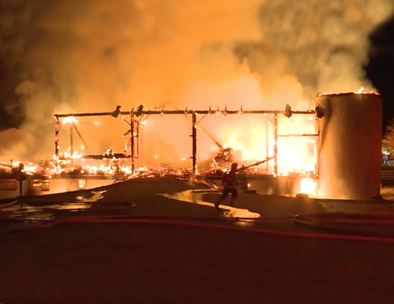 TORONTO MOUNTED POLICE UNIT, Sunnybrook STables barn fire, horses perish at Sunnybrook, horses die barn fire, ontario horse barn fire