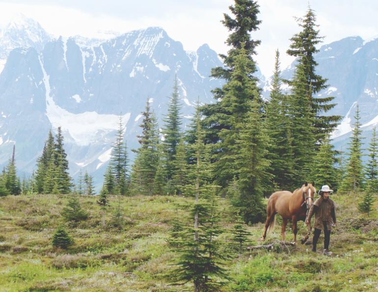 Tania Millen, Blue Creek Outfitting, McBride, BC, pack trips, holidays on horseback, equine holiday, trail riding, pack horse