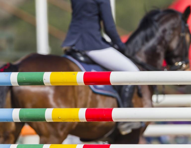 alexa linton whole horse, horse misbehaving, difficult horse, best way to train a horse, do horses have feelings?