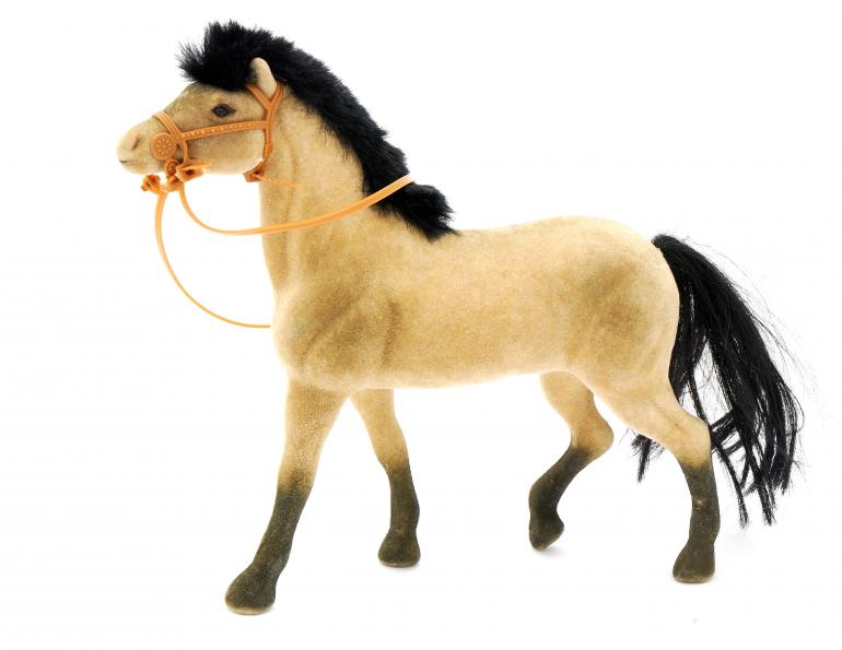 Jec Ballou horse trainer jec aristotle ballou western dressage jec ballou dressage exercises for horse and rider jec ballou equine fitness beyond horse massage