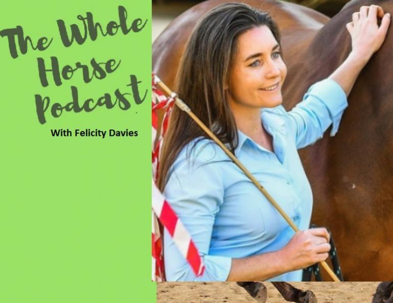 alexa linton podcast, horse desensitization, desensitizing horses, best horse podcasts