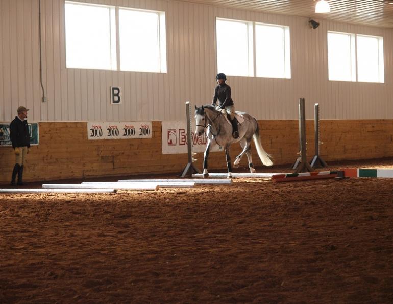 equine Walking Ground Poles, equine ground poles, jec aristotle ballou, western dressage, jec ballou, dressage exercises for horse and rider, jec ballou, equine fitness, beyond horse massage, Jec Ballou equine Walking Ground Poles, equine ground poles, jec aristotle ballou, western dressage, jec ballou, dressage exercises for horse and rider, jec ballou, equine fitness, beyond horse massage, Jec Ballou