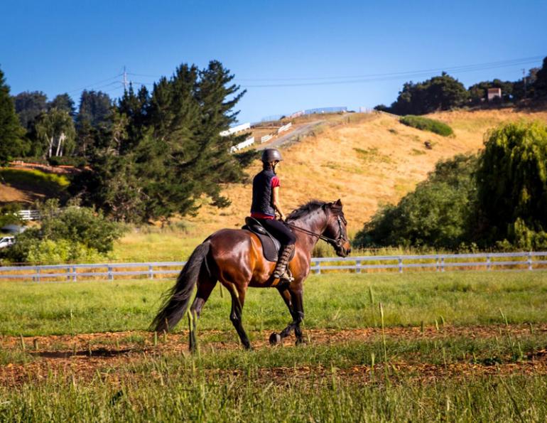 Jec Ballou, horse trainer, jec aristotle ballou, western dressage, jec ballou, dressage exercises for horse and rider, equine fitness