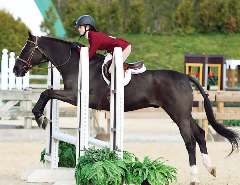 horse stories, ella coles thunderbird show park, fun horse articles, can horses have friends?