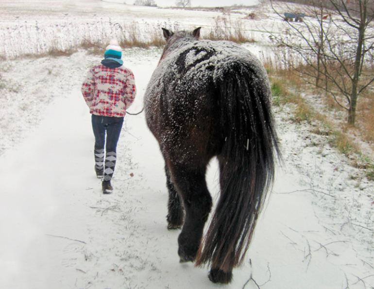 Jec Ballou, horse trainer, jec aristotle ballou, western dressage, jec ballou, dressage exercises for horse and rider, jec ballou, equine fitness, beyond horse massage, Jec Ballou Jec Ballou, horse trainer, jec aristotle ballou, western dressage, jec ballou, dressage exercises for horse and rider, jec ballou, equine fitness, beyond horse massage, Jec Ballou