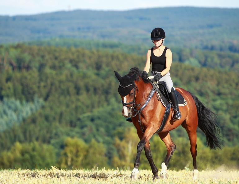 Jec Ballou, horse trainer, jec aristotle ballou, western dressage, jec ballou, dressage exercises for horse and rider, equine fitness Jec Ballou, horse trainer, jec aristotle ballou, western dressage, jec ballou, dressage exercises for horse and rider, equine fitness